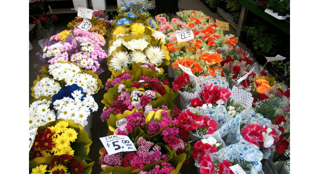 Jersey Cut Flower Market